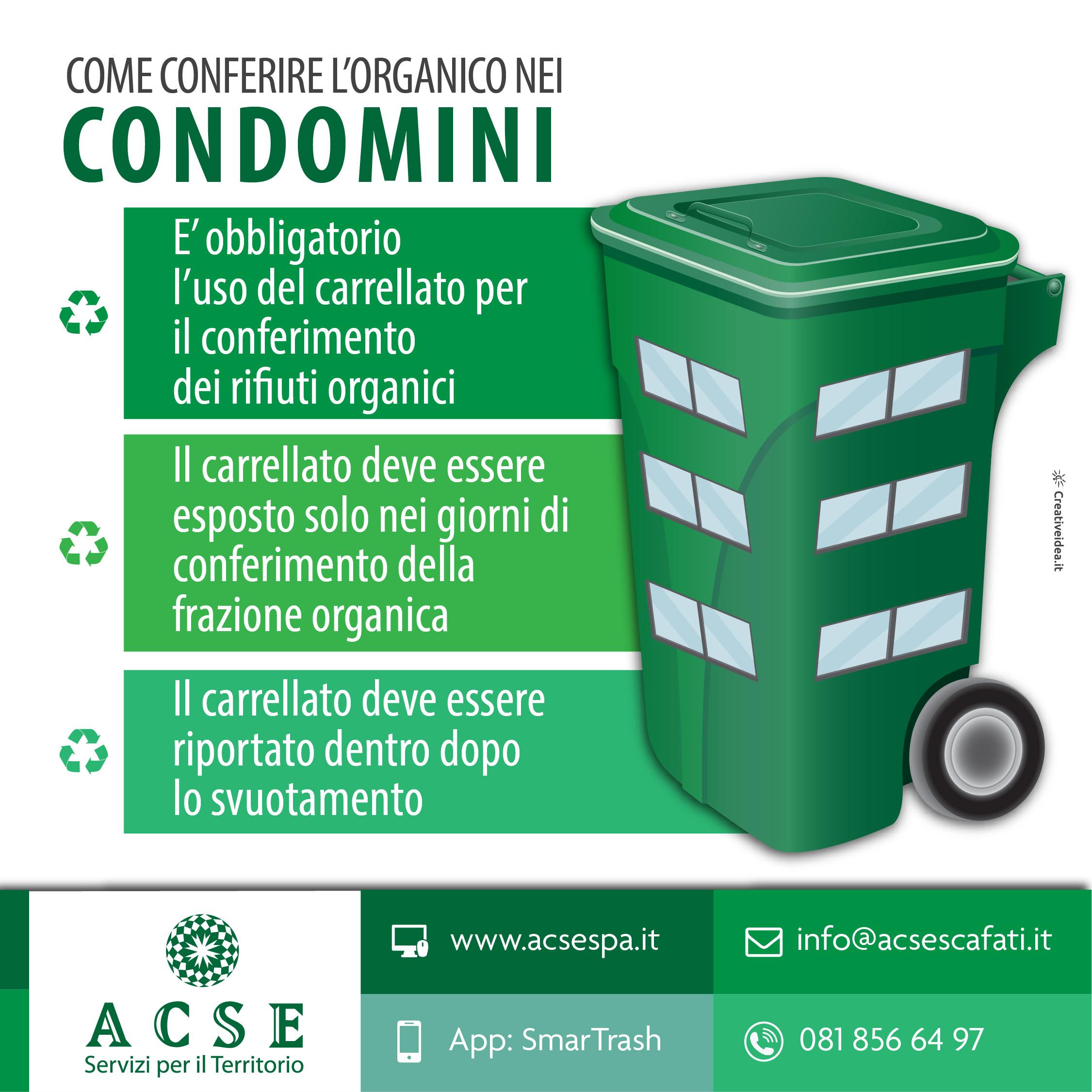 acse-conferimento-organico